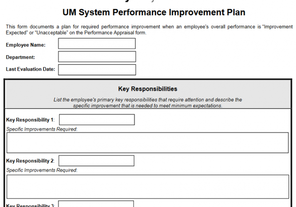28 System Performance Improvement Plan