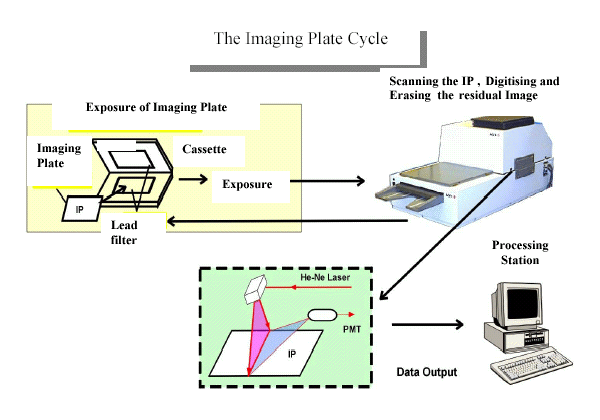 25b storage phosphor imaging plates