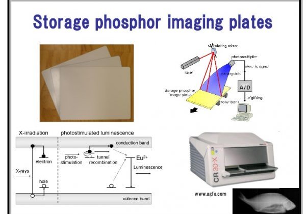 25a storage phosphor imaging plates