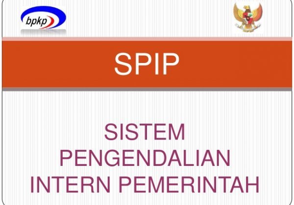 13c1 Sistem Pengendalian Intern Pemerintah