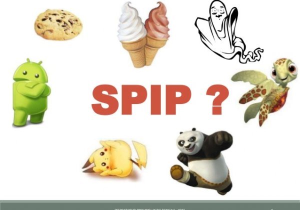 13m Sistem Pengendalian Intern Pemerintah